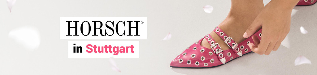 media/image/Horsch-Header-Outlet-FS25-Desktop.jpg