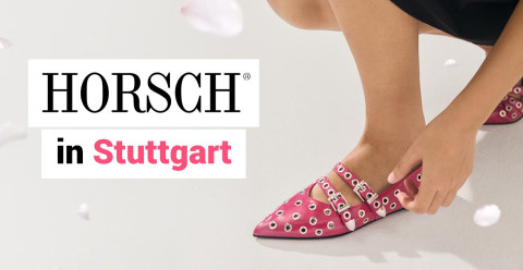 media/image/Horsch-Header-Outlet-FS25-Mobil.jpg
